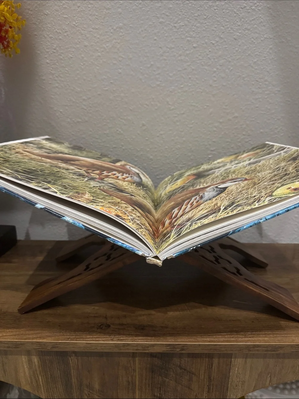 Vintage style wooden book display stand